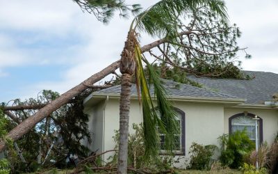 The Impact of Wind Damage on Property Values in Irving, TX