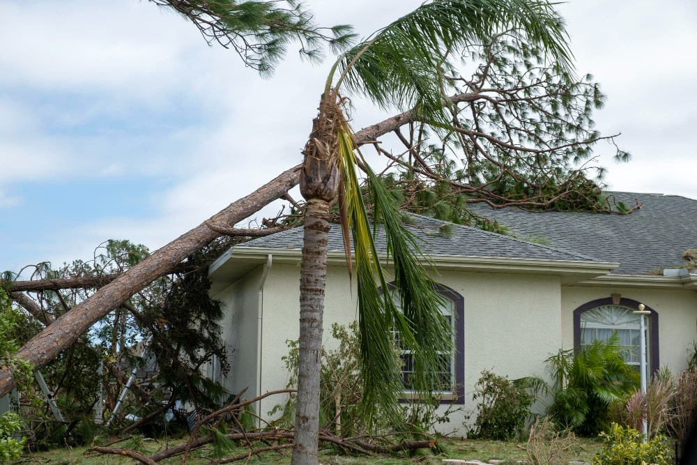 The Impact of Wind Damage on Property Values in Irving, TX