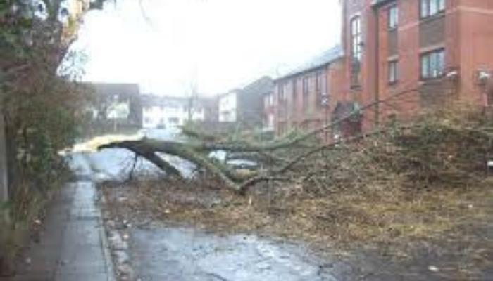 Preparing Your Property for Storm Season in Irving, TX