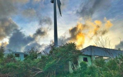 How Wind Storms Affect Properties on John Carpenter Freeway, Irving, TX