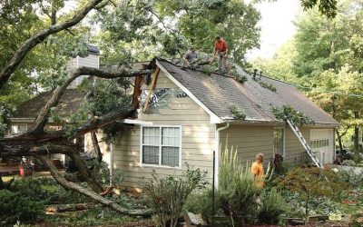 Comprehensive Guide to Wind Damage Restoration in John Carpenter Freeway, Irving, TX