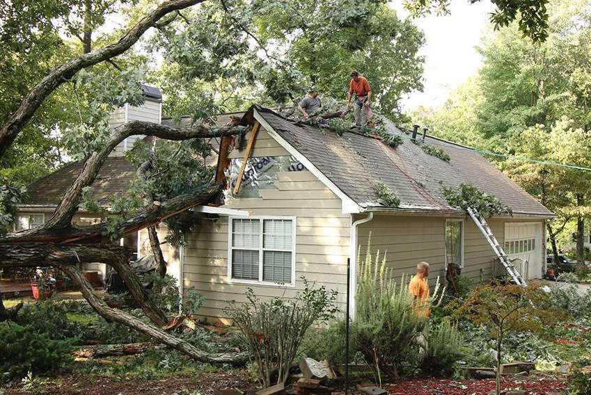 Comprehensive Guide to Wind Damage Restoration in John Carpenter Freeway, Irving, TX